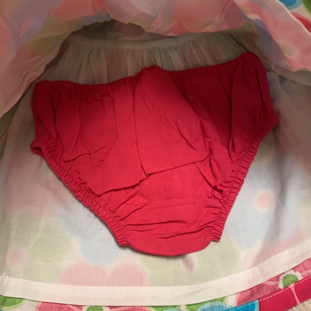 Gymboree Swim Suit and Dress w/ Swim Diaper - Picture 8 of 8